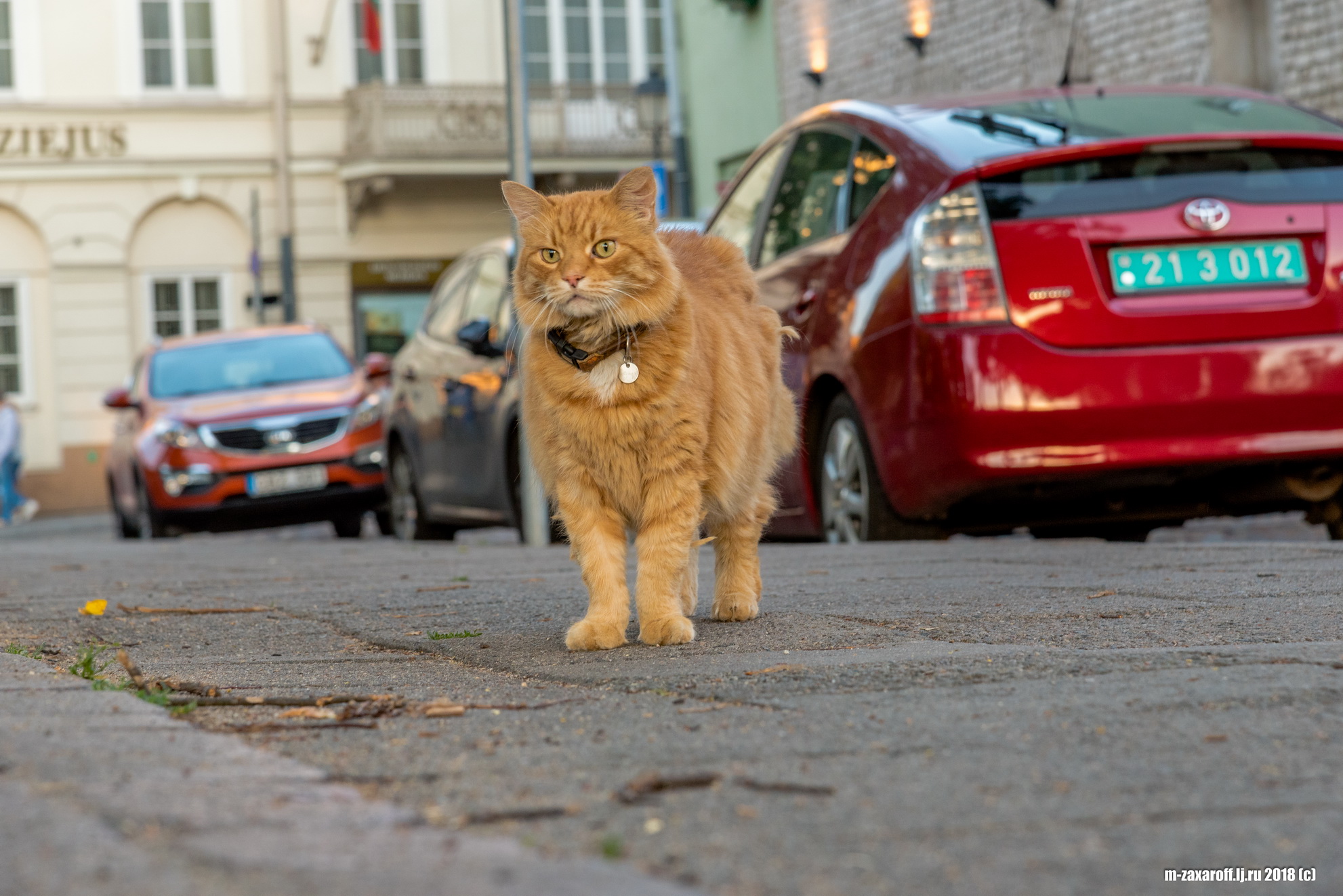 Vilnius (Вильнюс)